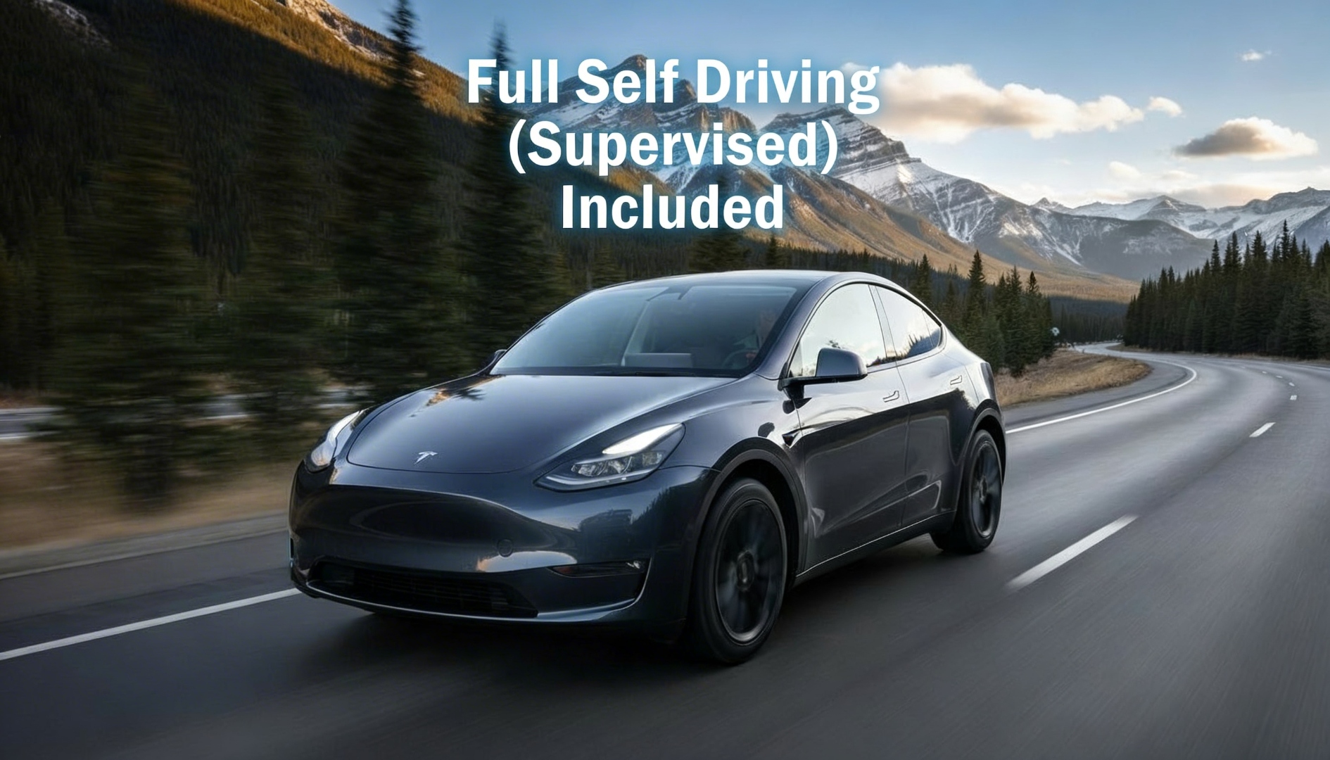 2025 Tesla Model Y Long Range AWD - Edmonton